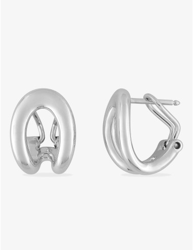 Boucles d’oreilles Émotion Onde